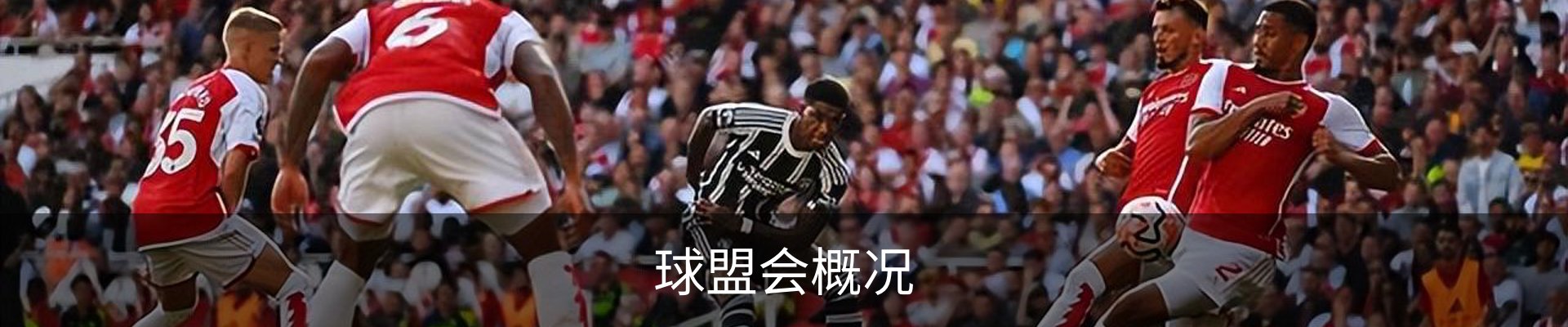 球盟会概况